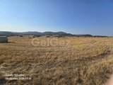 avtepe/yesilköy satılık tarla 4 dönüm toplamı 35,000£ kuruova köyü,satılık tarla prefabrık ev olur yada ekım bıcım yapılır.eşdeger koçan
