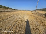 SATILIK 2 DÖNÜM TARLA YOL KENARI ELEKTRİK VE YOL MEVCUT TOPLAM 30,000 £