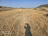 SATILIK 2 DÖNÜM TARLA YOL KENARI ELEKTRİK VE YOL MEVCUT TOPLAM 30,000 £