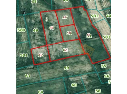 Gazimağusa Alaniçinde satılık 26100 m2 tarla