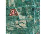 Gazimağusa Alaniçinde satılık 26100 m2 tarla