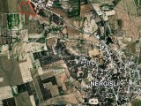 GAZİMAĞUSA NERGİSLİ SATILIK 11 DÖNÜM 2668 AYAKKARE ARAZİ