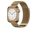 Wiwu WB005 Milanese Magnetic Apple Watch Kordon Local Gold