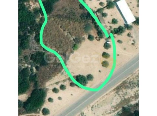 İskele Bölgesi Kaleburnu köyünde, Türk koçanlı satılık arazi