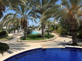 Kıbrıs Town Houses’ta Havuza Direkt Çıkışlı Bahçe Katı 2+1 Lüks Daire | Girne Alsancak