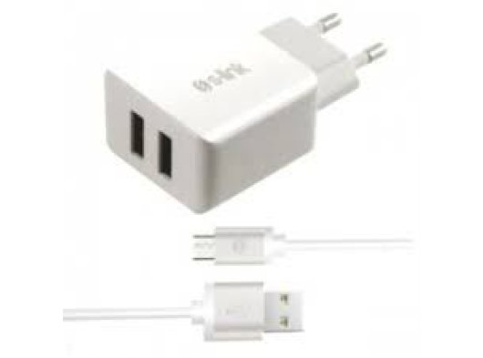 S-Link Swapp Qualcomm 2.0 Micro USB Şarj Adaptörü Ve Type C Kablo