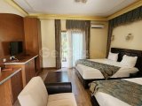 C1-0294 | Alsancak’ta eşyalı stüdyolar — £400’den başlayan kira + £50 aidat