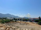 C1-0286 | Ozanköy–Çatalköy Sınırında Yaklaşık 7.916 m² KA3 Arsa
