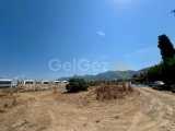 C1-0286 | Ozanköy–Çatalköy Sınırında Yaklaşık 7.916 m² KA3 Arsa