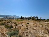 C1-0287 | Ozanköy-Çatalköy Sınırında Yaklaşık 5.240 m² KA3 Arsa