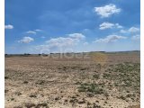 Geçitkale Bölgesinde Konut ve Ticari İmarlı Arsalar!