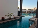 İskele merkezde sıfır lüks loft daire 1+1