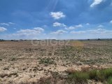 Geçitkale Bölgesinde Konut ve Ticari İmarlı Arsalar!