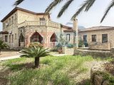 Taşev