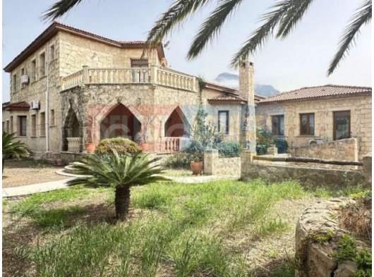 Taşev