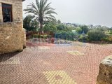 Taşev