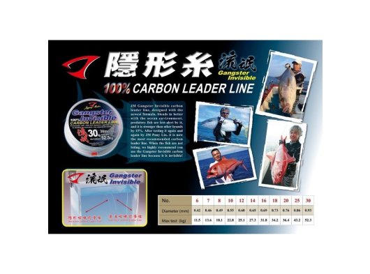 Jigging Master Gangster Invisible Leader Carbon Line 30M