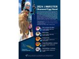 JM Diamond Egg Head 320g - Asist İğneli