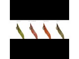 DTD Shrimp Oita 3.0