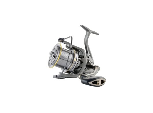 Surf Casting Reel SW 8000