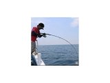 TAILWALK SPRINT STICK SSD 80XXH