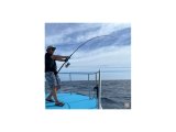 TAILWALK OFFSHORE MÜCADELE KEMERİ