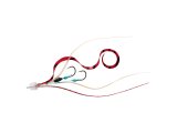Daiwa Kohga Kae Unit β SS Nakai Tune Yedek Ünite