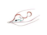 Daiwa Kohga Kae Unit β SS Nakai Tune Yedek Ünite
